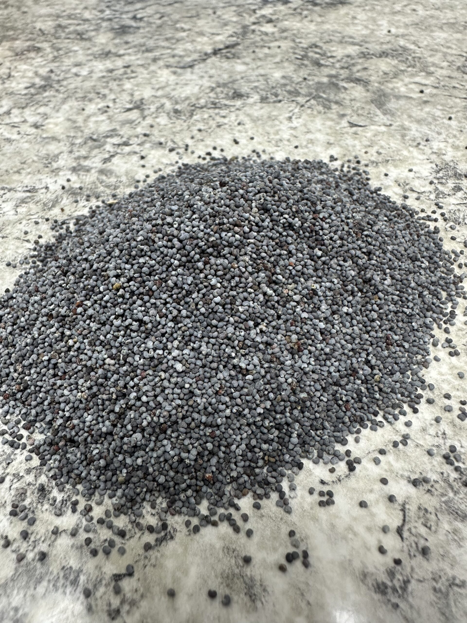 Poppy Seeds - Image 4